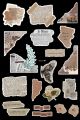 Brown journaling  stickers set, vintage sticker for journaling, Qoute stickers, stickers for diary, cute stickers , vintage warm stickers. 