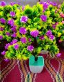 Artificial Bonsai Tree / Flower Pot ( Artificial Plant Decoration ). 