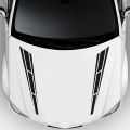 Vinyl Decal Sticker for Car Side Body Hood Cover, Car Stickers, Bonnet and side door stickers. 