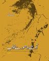Aadhay Adhooray Khwab By Shahid Siddiqui. 