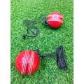 Leather Cricket Hanging Cricket Ball. 