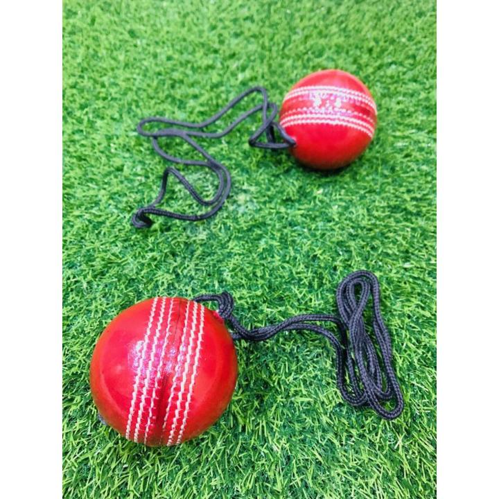 Leather Cricket Hanging Cricket Ball