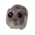 Cross-Border New Products Sad Hamster Sadness Mouse Simulation Mouse Hamster Plush Toy Doll Doll. 