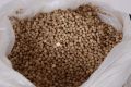 Grow Green | DAP Fertilizer 18-46-0 |  Phosphorus | Plant Food. 