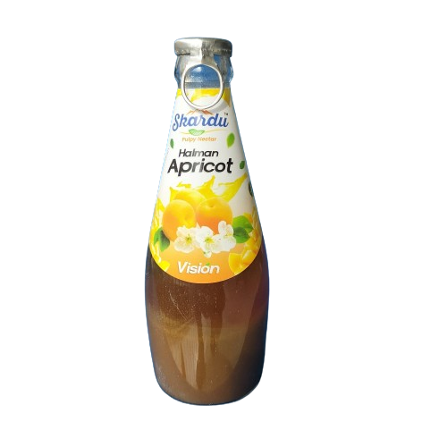 Halmon Apricot Juice pulpy nectar 290 Ml Gilgit Baltistan Daraz.pk