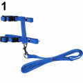 Pet Cat Rabbit Walking Training Soft Straps Harness Leash Traction Belt Tool. 