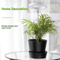 Grow Lights for Indoor Plants, Full Spectrum LED Halo Plant Light with Stand Height Adjustable Auto Timer, for Plants. 