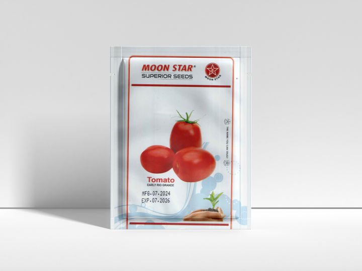 Ghanta News Ajay 24 Ghanta Khabar Star Ananda Live Etv Ananda