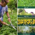 Gardening Scissors With Wood Handle Good Quality for trimming plants Plant cutter pruner high quality sharp gardening tool,Clippers for the garden Pruning shears hand pruner. 