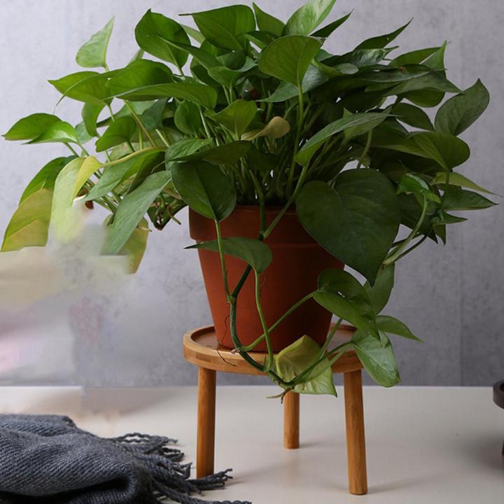 plant Display Stands-2 x Wooden Plant Stand-log color