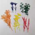 Pack of 20 Leaves die-cut set:  flower die cut multicolor: scrapbook, journaling, card making, Customize die cut. 