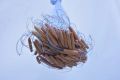 Ready-Made Soil Sinker Fishing Net – 50MD – 50/100 Feet – 2.5" & 3" Mesh. 
