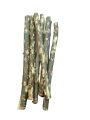 Miswak Brush | Miswak Timber | Miswak Tooth Brush. 