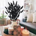 100pcs Natural Black Bunny Tails Dried Flowers Farmhouse Flower Arrangements,Lagurus Ovatus,Pampas Grass Decor for Wedding Craft. 