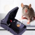 Rat Trap Big Size Mouse Trap. 