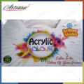 Artisan - 12pcs x 25ml in bottle - Acrylic Paints 25ml in each bottle with plastic case. 