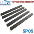 5PCS 40 Pin Female Header 2.54mm. 