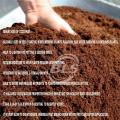Coco Peat Block - 5 Kg - Organic Soil Substitute for Garden, Pots, Planters.Garden soil/fertilizer/cocopeat/plants/seeds/coconut husk/cocopeat 1 Kg. 