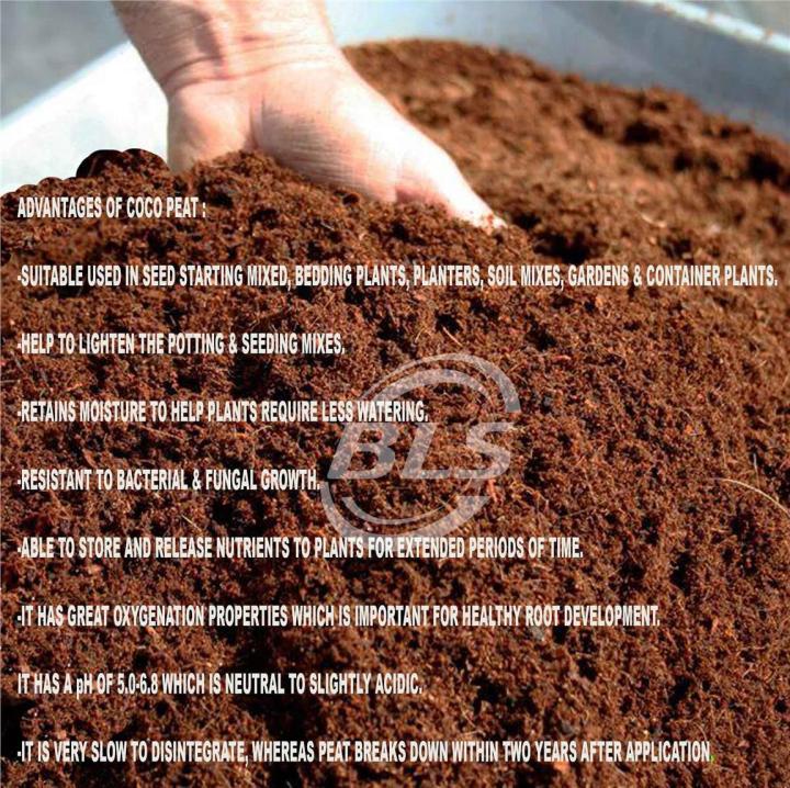 Coco%20Peat%20Block%20-%205%20Kg%20-%20Organic%20Soil%20Substitute%20for%20Garden,%20Pots,%20Planters.Garden%20soil/fertilizer/cocopeat/plants/seeds/coconut%20husk/cocopeat%201%20Kg%20-%20Image%203