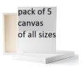 Pack of 5 Canvas for Painting - All sizes For Painting Blank White Canvas - 100% Cotton Art Panels for Oil, Acrylic & Watercolor Paint - Primed Canvas. 