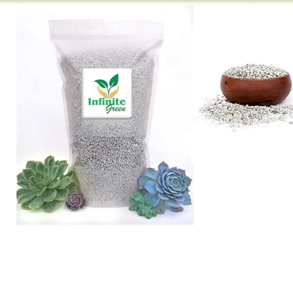 garden sorrel seeds Red Veined Sorrel Panda Seeds