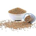 Bajra باجرہ  | Premium Pearl Millet Seeds For all kind of Birds - 5 KG. 