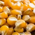 Best Quality Pop Corn 500 Gm Packet. 