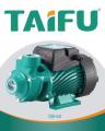 QB60 Peripheral Water Pump 0.50HP - 100% Copper - Original - Green. 