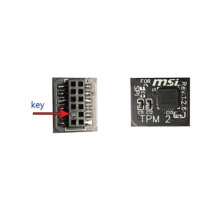Remote Card 12 Pin SPI TPM2.0 Security Module for MSI Motherboard