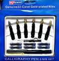 Calligraphy Ink Pen Set 6 Nib Set. 