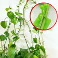 Plant Organize Clip High Stability Garden Support Binding Vine Wall Hook. 