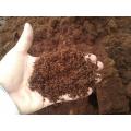 Professional Cocopeat 250gram Imported. 