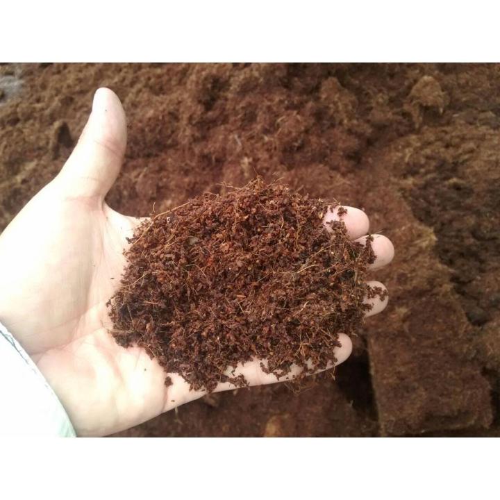 Professional Cocopeat 250gram Imported