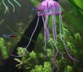 Pair of Aquarium Glowing Swim Effect Artificial Jellyfish Ornament Fish Tank Underwater Luminous Ornament Landscape Decoration. 