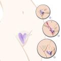 Bikini Privates Shaving Stencil Set Female Pubic Hair Trimmer Shaver Secret Intimate Shaping Tools Hair Removal Template. 