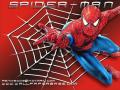 The Amazing Spider Man 2 PC game. 