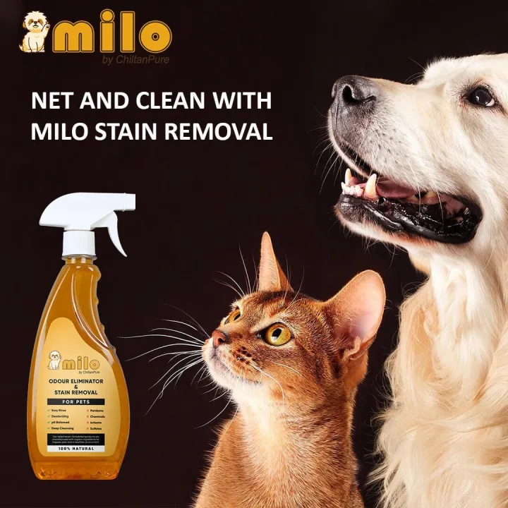 Milo%20Pet%E2%80%99s%20Odour%20Eliminator%20&%20Stain%20Removal%20%E2%80%93%20Eliminate%20Pet%E2%80%99s%20Bad%20Odour%20&%20Remove%20Tough%20Stains%20-%20Image%205