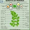 Pure Moringa – 200 Capsules, 100 Capsules & 50 Capsules | Moringa Capsules for Weight Loss | Moringa Capsules Nutrifactor | Moringa Capsules Organic Store | Moringa Capsules Shifa-e-Nabvi | Moringa Capsules Chiltan Pure | Organic Moringa Powder. 
