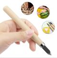 Wood craving knifes chisel 6 Pcs Professional Wood Carving Tools Set with High Carbon Steel for Woodworking Sculpting & Engraving - Wood Carving Chisel Set with Wooden Handles -Professional Sculpting and Engraving Tools for DIY -Woodworking Art. 