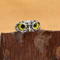 Owl eye  Ring adjustable Size Ring for Men Ring For women Different colors ring. 