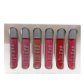 Warda Beauty Meat Matt Haghs 6 Colors Liquid Lip Gloss. 