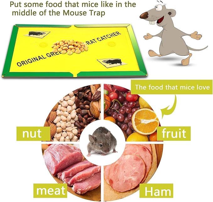 Pack%20of%206%20-%20Mouse%20&%20Rat%20Bond%20Traps%20-%20Expert%20Catch%20Mouse%20&%20Rat%20-%20Rat%20Glue%20Pad%20-%20Mouse%20Catcher%20Glue%20%7C%20Mouse%20Glue%20-%20Mouse%20Catcher%20Book%20-%20Mouse%20Catcher%20Glue%20-%20Mouse%20Trap%20Book%20-%20Image%204