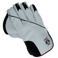 WB Sports Cricket Keeper Gloves, Wicket Keeping Gloves, Wicket Keeper Gloves. 