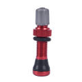 Bicycle Schrader Tubeless Valve Bike Valve Rim Wheel Tubeless Tire Tyre Valve Creek. 
