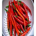 Cayenne Pepper Seeds Hot Chilli Pepper. 