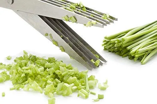 Multi-Functional%20Stainless%20Steel%20Kitchen%20Knives%205%20Layers%20Scissors%20for%20Kitchen%20use%20Cut%20Herb%20Spices%20Cooking%20Tools%20Vegetable%20Leaf%20Scissor%20and%20Cutter%20with%20Cleaning%20Brush%20(Multicolor)%20-%20Image%205