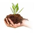 Organic Compost. 