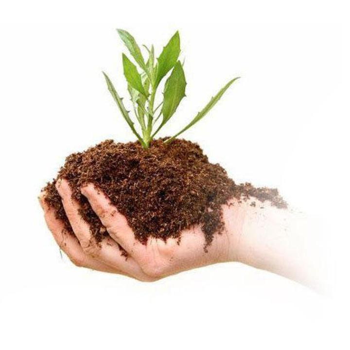Organic Compost