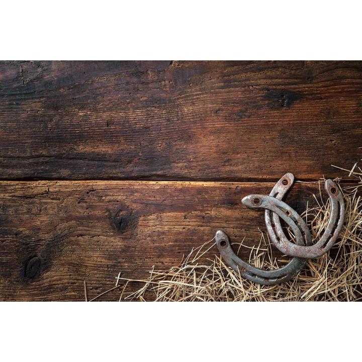 Old Rusty Vintage Metal Horseshoe Antique Wall or Door Decor