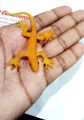 Soft Lizard Rubber Chipkali (Pack of 2) Toys for Fun Kids Rubber Lizard Artificial. 
